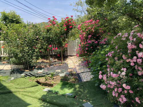 IMG_5214.jpeg