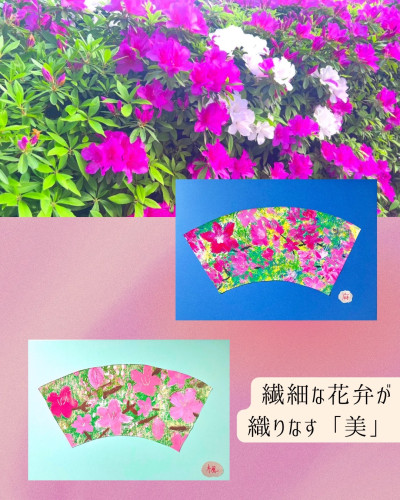 S__183902230.jpg
