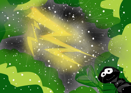 魔法の地図と子供たち　雨天７.jpeg