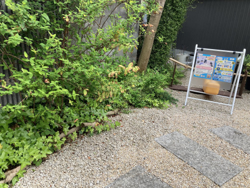 IMG_8860のコピー.jpg