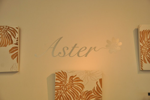 20200702-aster (18).jpg