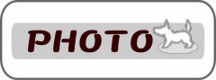 写真a.gif