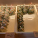 IMG_4212.jpeg