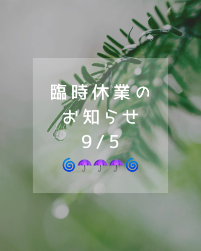 臨時休業のお知らせ🌀☂️🌀