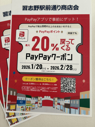 PayPayクーポンのお知らせ