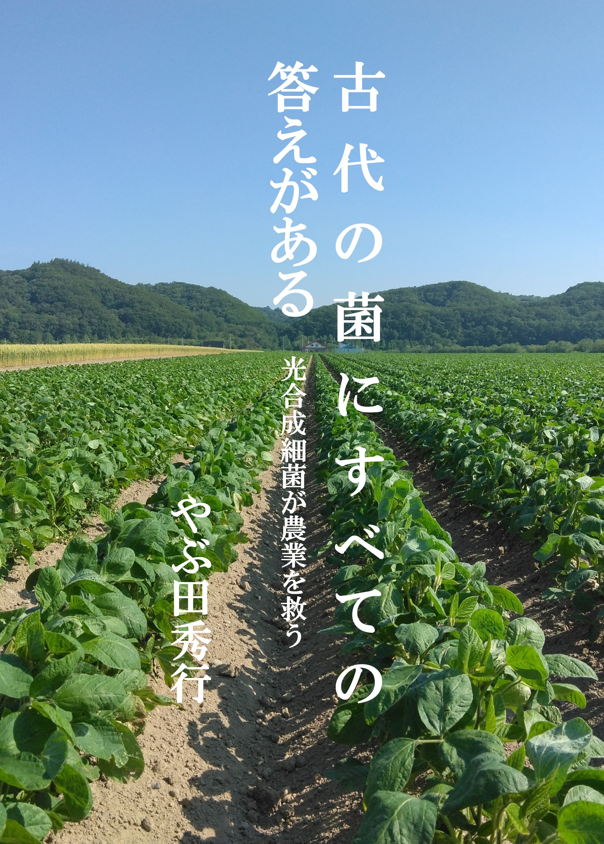 新刊のお知らせ！　やぶ田秀行 (著)「古代の菌にすべての答えがあるー光合成細菌が農業を救う」  – 2025/11/6 