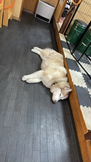 IMG_6764.jpeg