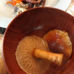 20221108きのこ⑦.jpg