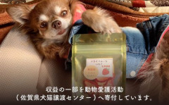 【6袋×12回定期便】犬の無添加おやつ☆お砂糖不使用 旬のドライフルーツ定期便