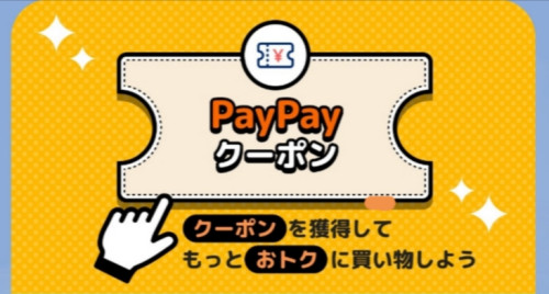 pay payクーポン発行〜♪