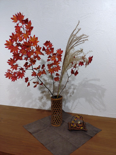 秋のプレゼント🍁‐2025.1029‐