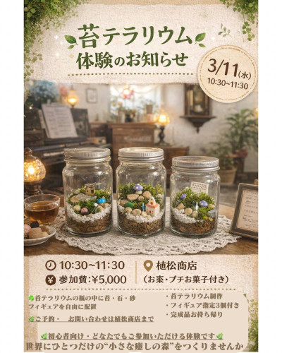 苔テラリウム🍀体験教室