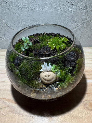 ワークショップ🪴苔テラリウム