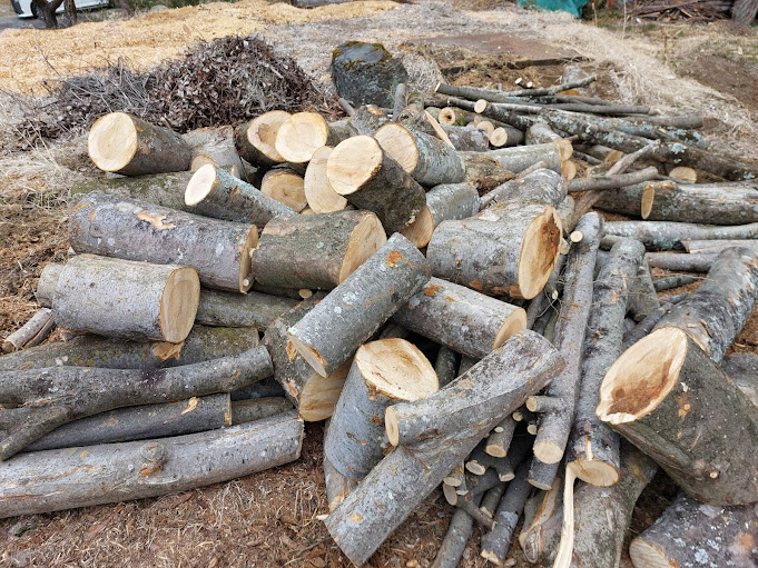 落葉樹、広葉樹ミックス 軽トラック3台分