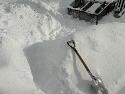 除雪活動