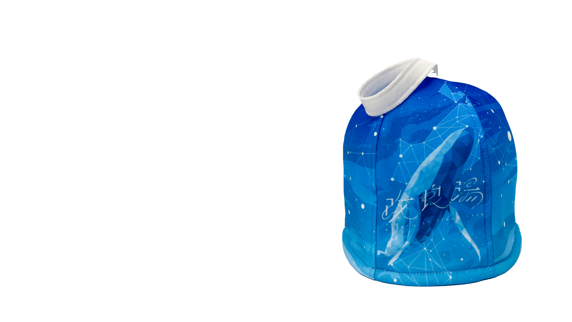 OEM セクション2 ループ11