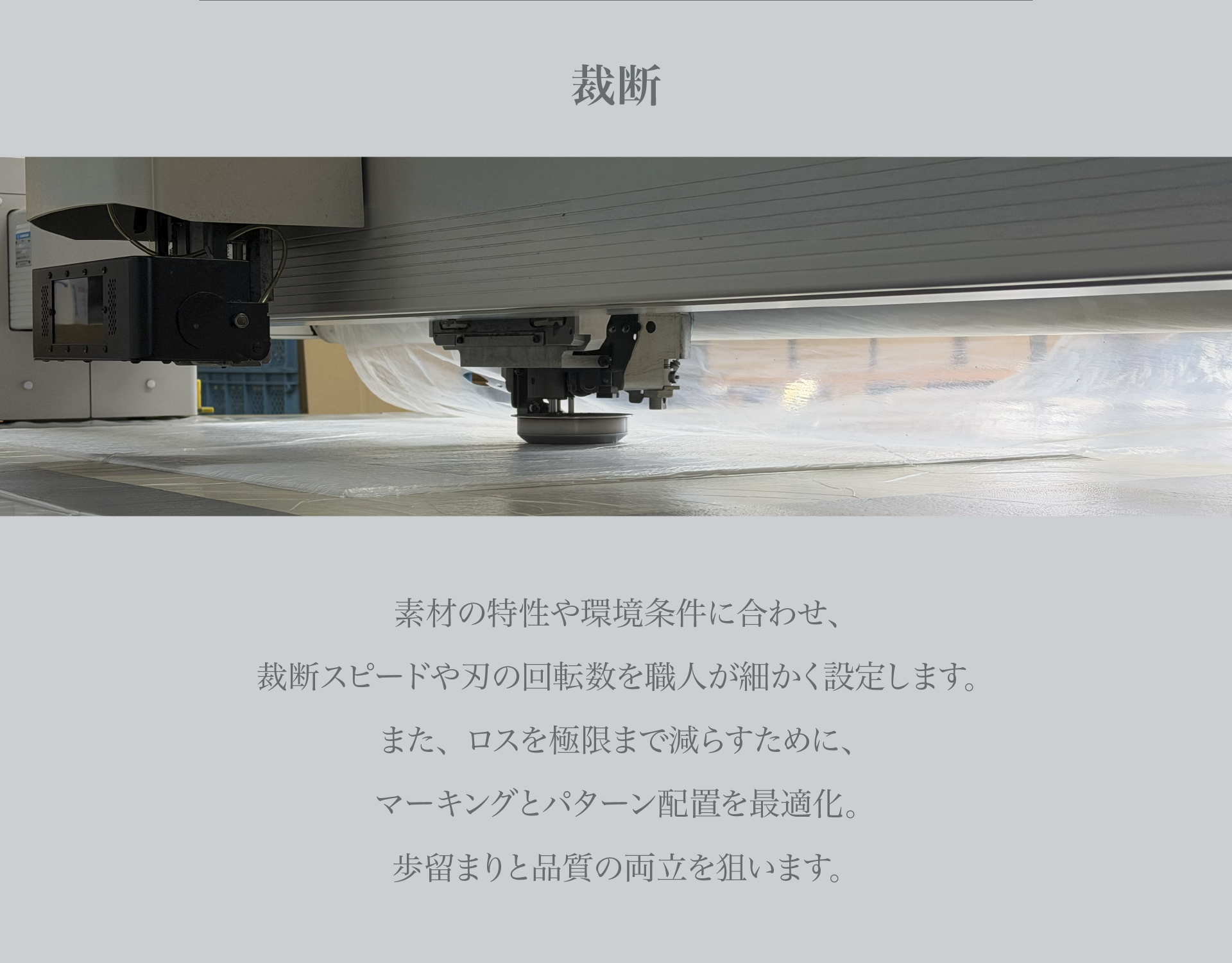 肩パッド画像 3