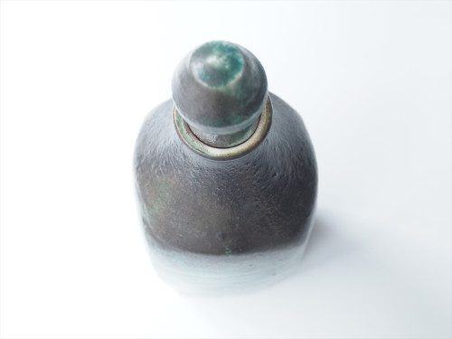 sP1010753_R.JPG