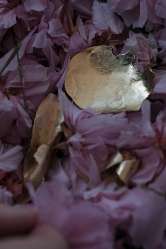 s-DSCF8183.jpg