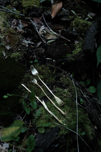s-DSCF8222.jpg
