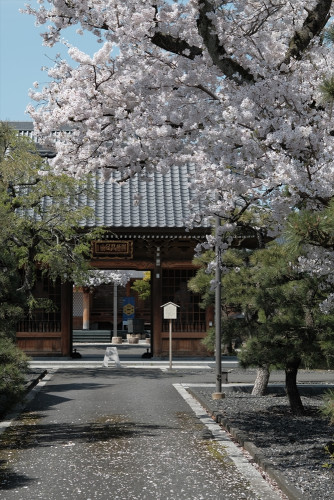 sDSCF7680_R.JPG