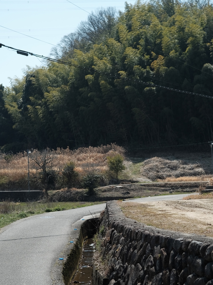 叶谷真一郎さんインタビュー｜