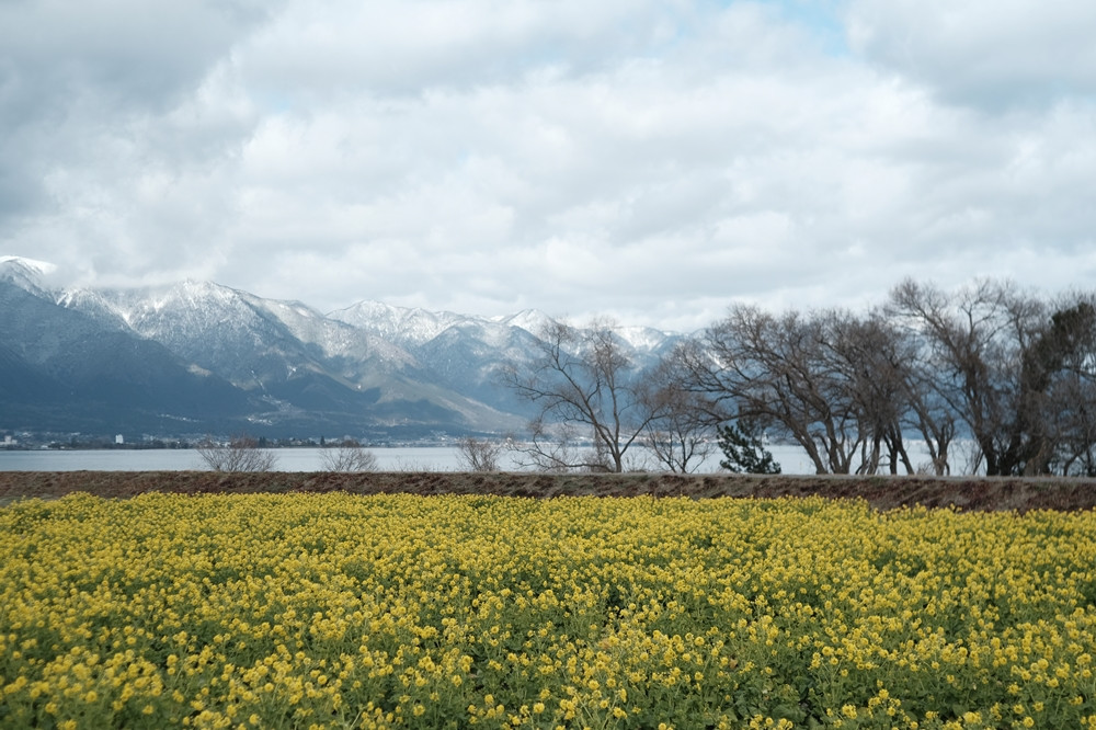 作家紹介　土居祥子さんへの一問一答