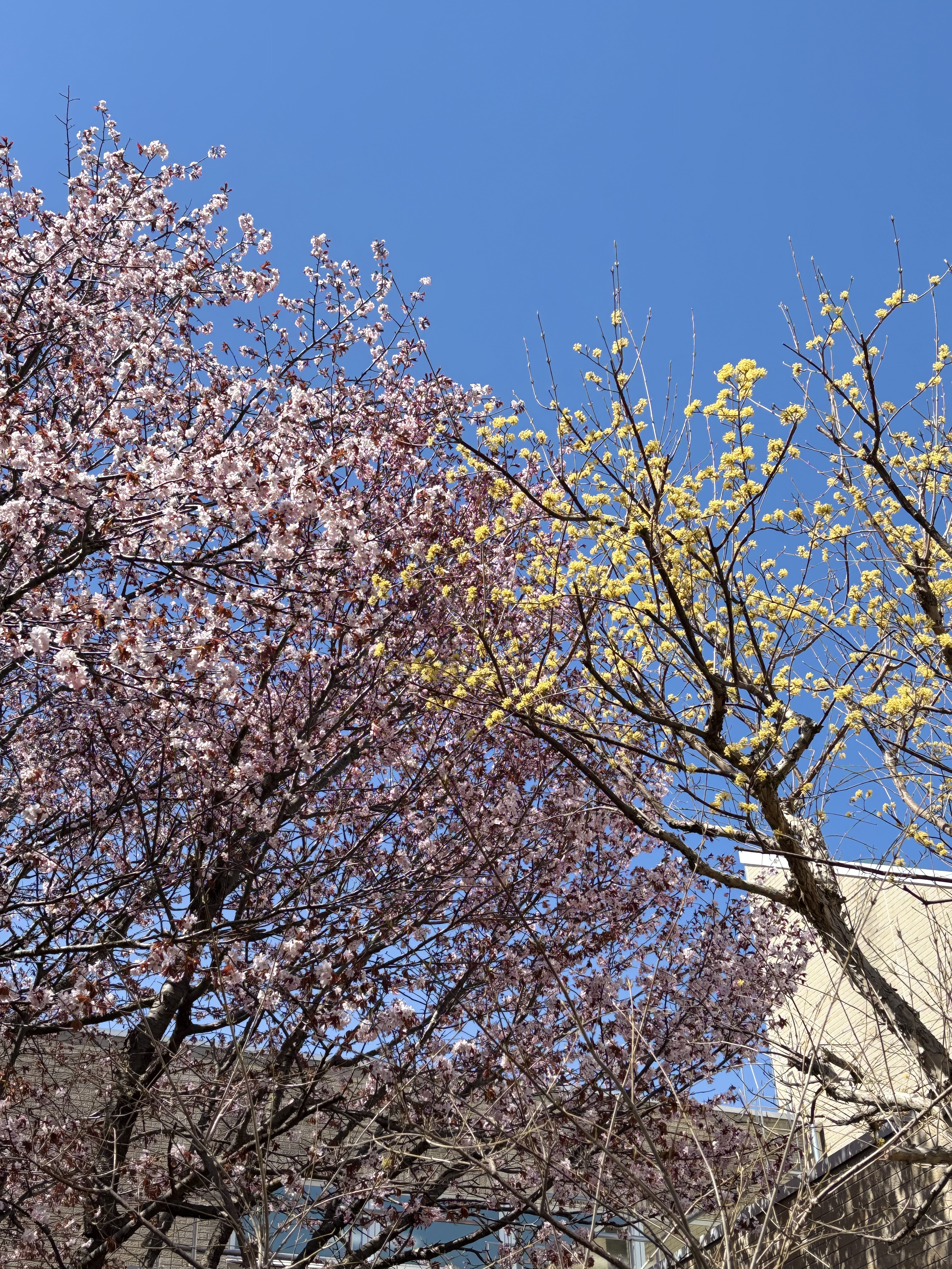 GWのお休みについて