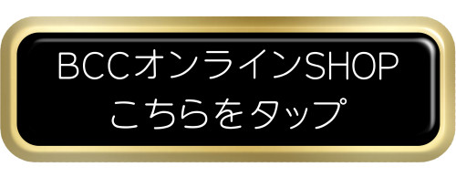BCCサイト登録方法.zip - 15.jpeg