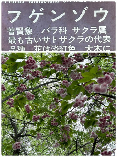 image0 (17).jpeg