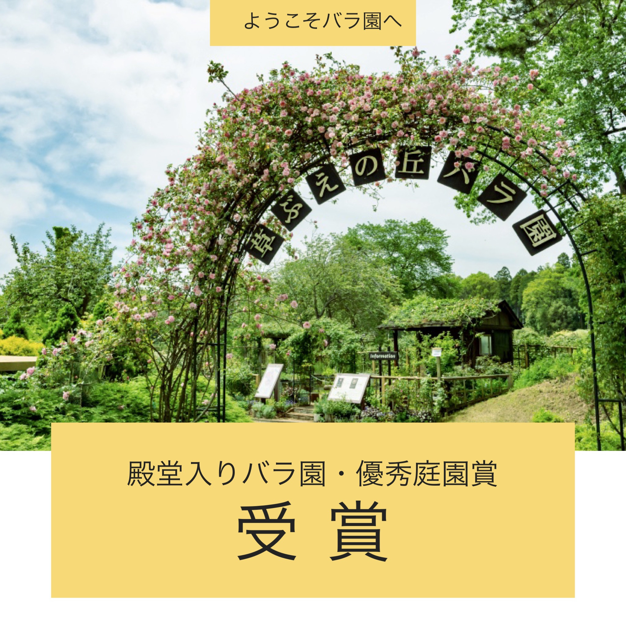 佐倉草ぶえの丘バラ園公式サイト ヘリテージローズが咲くバラ園