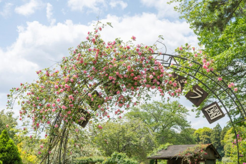 ローズフェスティバル＆開園20周年記念式典開催