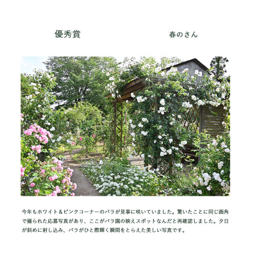 優秀賞インスタ.jpg