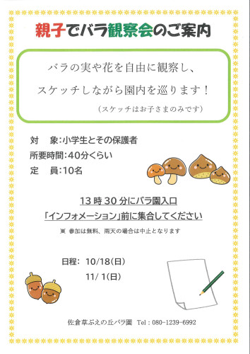 2026秋　親子でバラ観察会のお知らせ