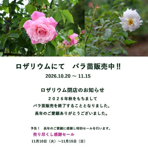 ロザリウム閉店jpeg.jpg