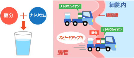 ホームページ用画像.png