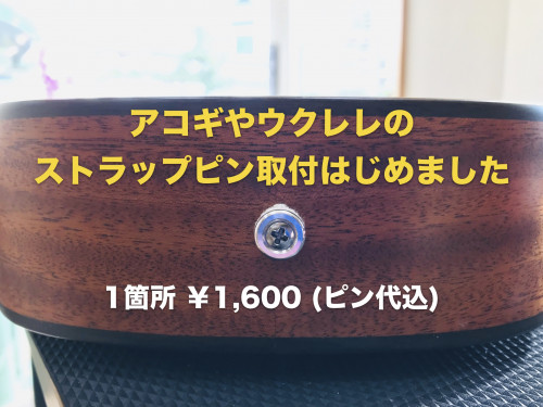 ストラップピン取付.jpg