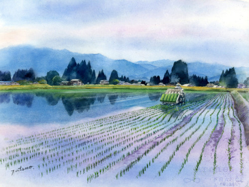田沢湖神代高画質.jpg