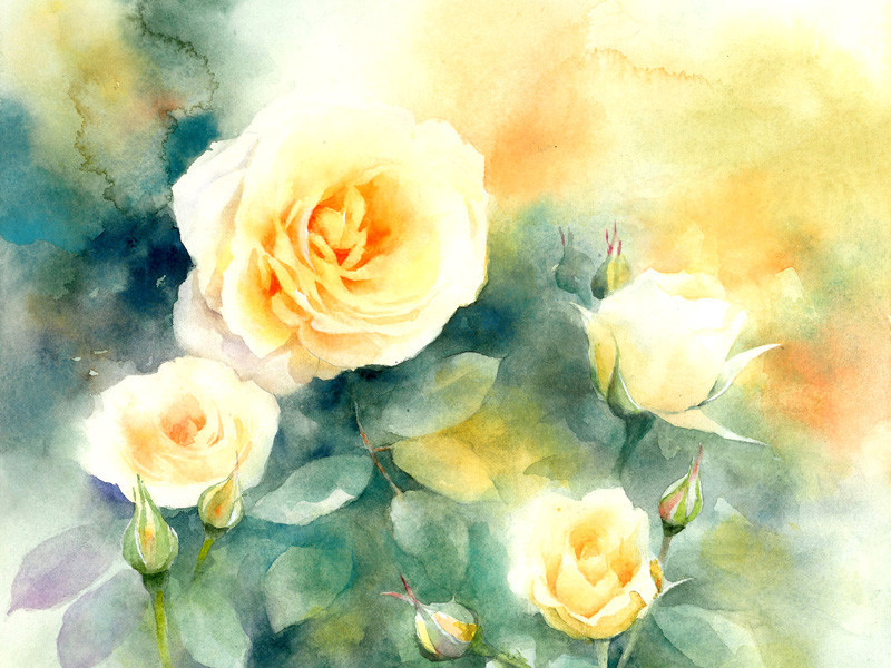 「初めての一歩」  new