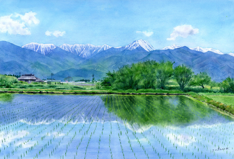 「早苗田･安曇野常念岳」  new