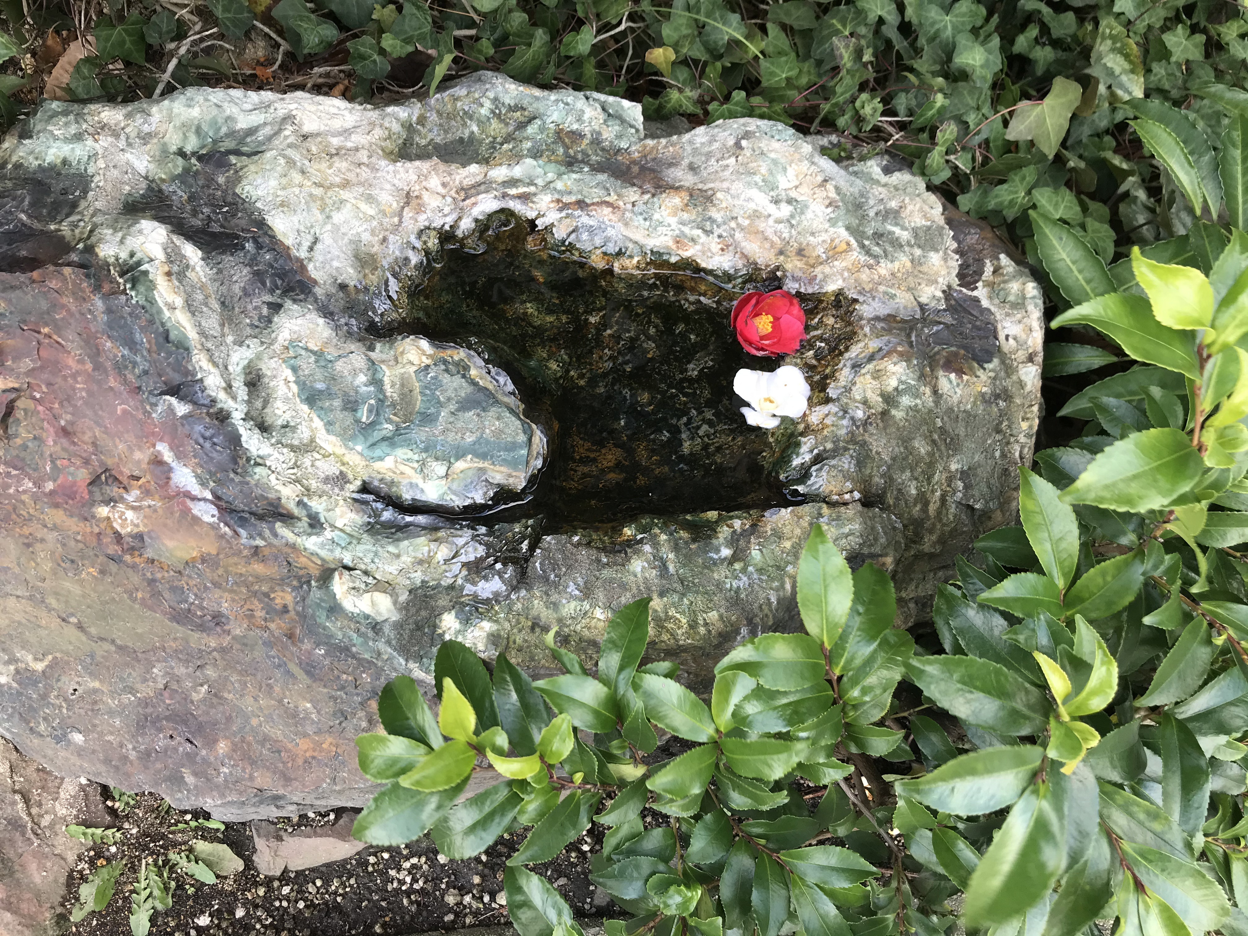 心身体育講座