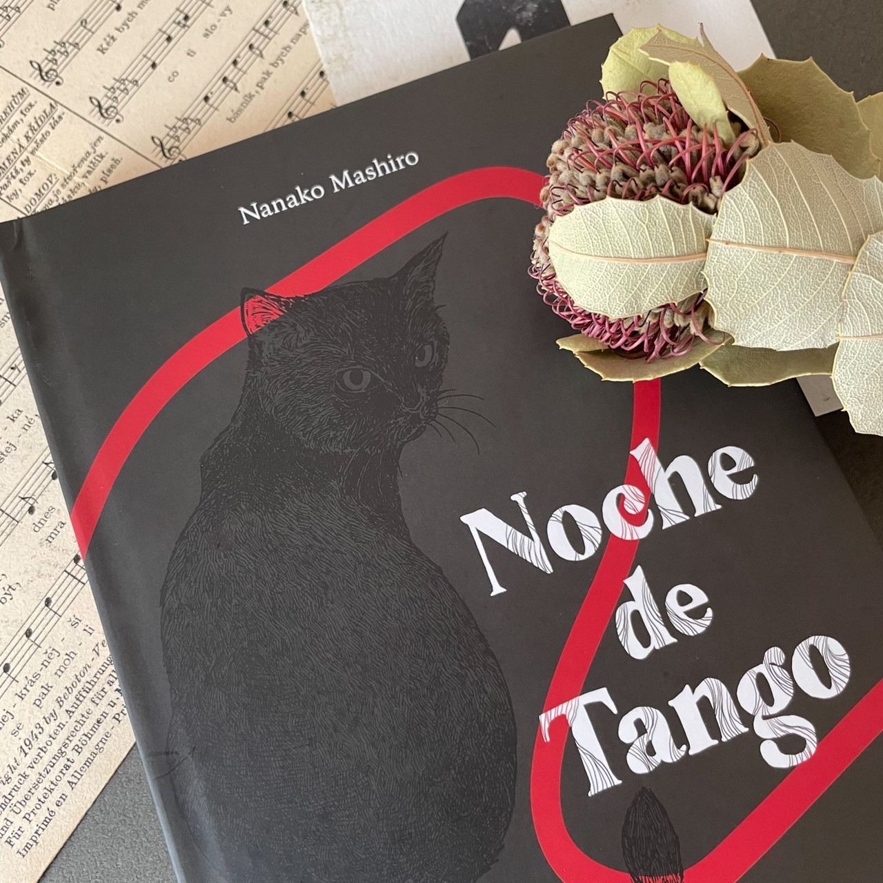 CD&BOOK『Noche de Tango』販売開始しました販売開始しました！