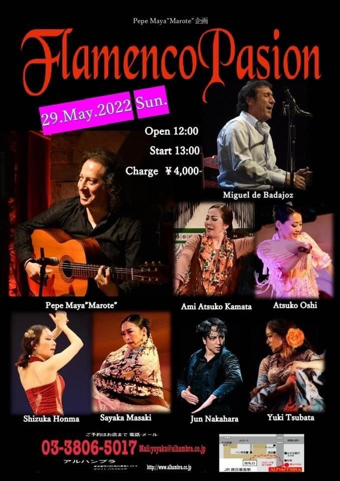 Flamenco Pasion 2022.5.29