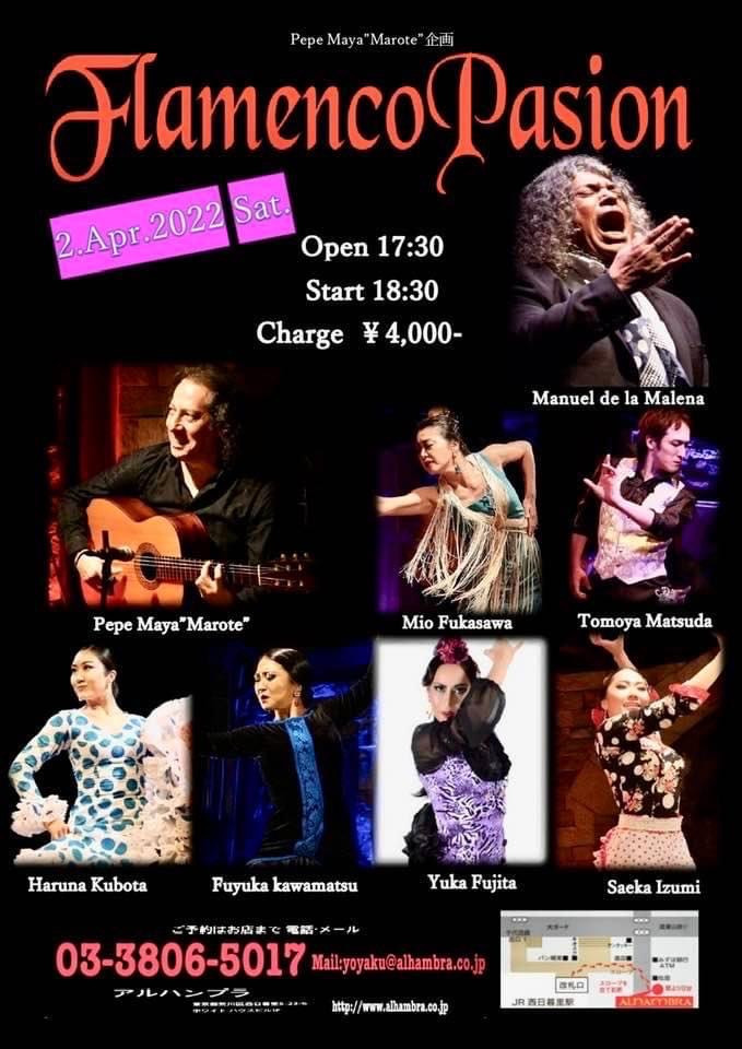 Flamenco Pasion 2022.4.2