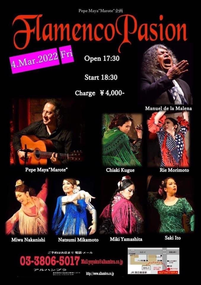 Flamenco Pasion 2022.3.4