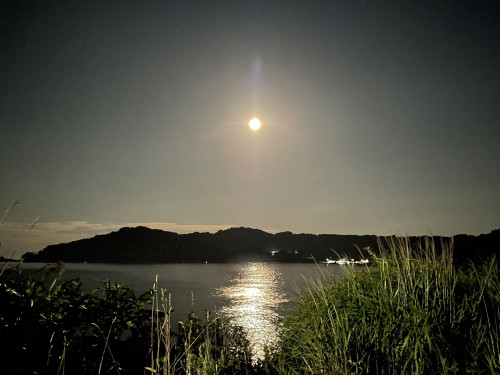 IMG_2830.jpeg