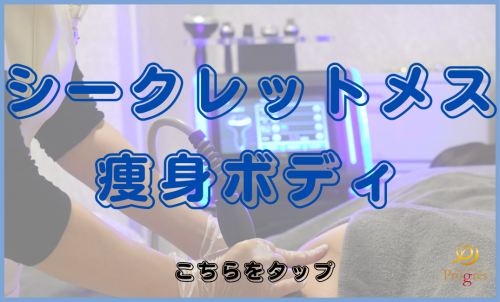 シークレットメス痩身ボディ.png