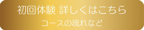 初回体験 詳しくはこちらボタン.png