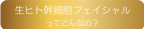 生ヒト幹細胞って.png