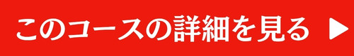 このコースの詳細を見る